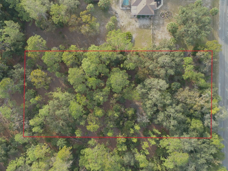 DJI_0213 with Boundary