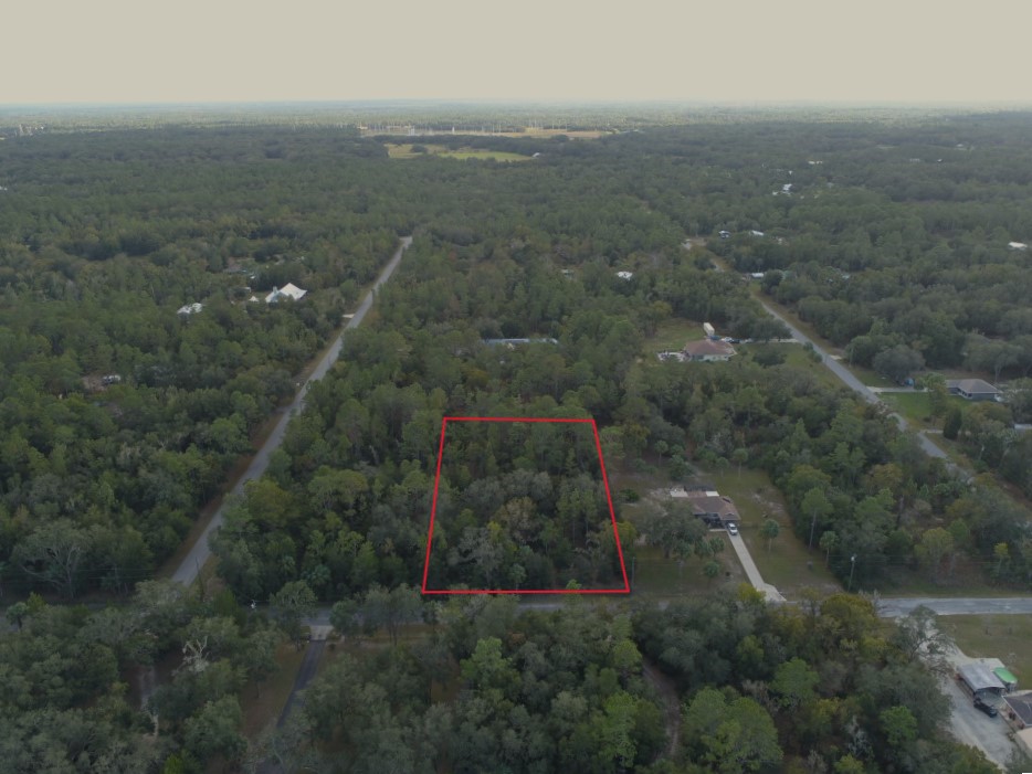 DJI_0219 with Boundary