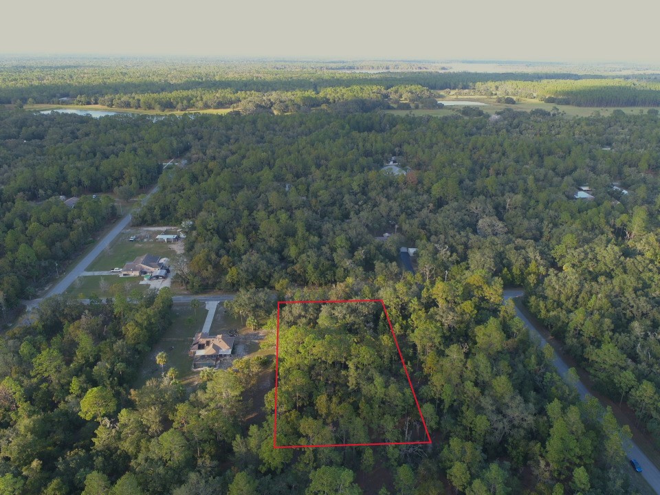 DJI_0228 with Boundary