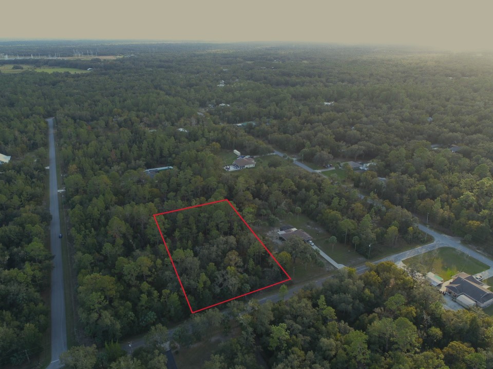 DJI_0234 with Boundary